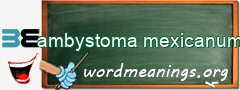 WordMeaning blackboard for ambystoma mexicanum
